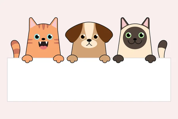 Ilustração Vetorial Engraçado Desenho Animado Cão Gatos Estão Segurando Vazio —  Vetores de Stock