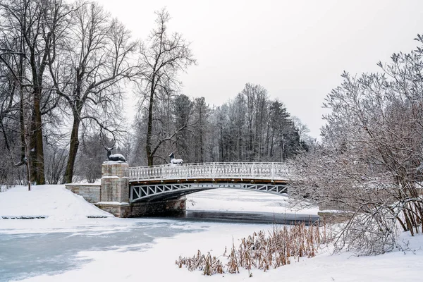 View of the river Oleniy Bridge in the Pavlovsk Palace and Park complex on a winter snow-covered cloudy day, St. Petersburg, Russia. The inscription on the bridge: \