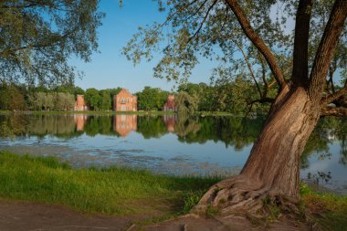 Deniz Kuvvetleri 'nin mimari topluluğu ve batan güneşin altında Catherine Park' ın Büyük Havuzu 'nun kıyısındaki ağlayan söğüdün görüntüsü. Puşkin, St. Petersburg. Rusya.