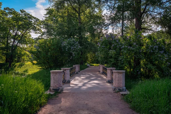 Pont Vers Gazebo Grinçant Sur Les Étangs Supérieurs Dans Parc — Photo