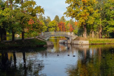 Güneşli bir sonbahar sabahı Gatchina Sarayı ve Park Kompleksi 'ndeki Beyaz Göl' ün yakınındaki su labirenti kanalından geçen dökme demirden köprü manzarası, Gatchina, St. Petersburg, Rusya
