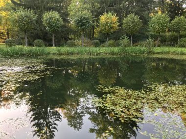 Kuzey Rusya 'nın doğası