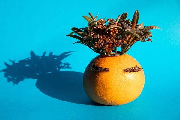 Greyfurt üzerindeki kirpiklerden yapılmış yaratıcı kadın yüzü. Ananas gölgesi. Asgari konsept.