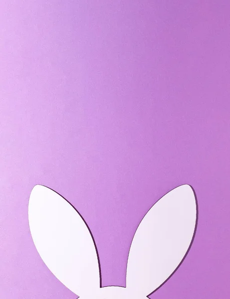 2021 Paskalya tavşanı kulakları pastel mor arka planda. Minimum tatil bahar konsepti. Boşluk düzenini kopyala. 