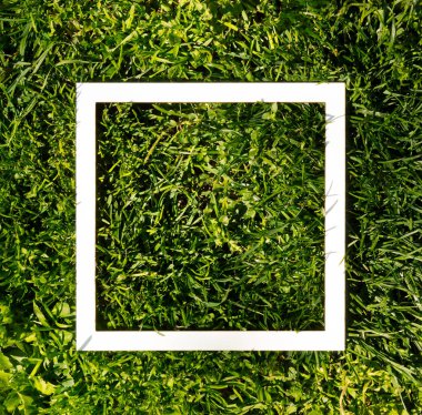 Çimlerin üzerinde beyaz kağıt çerçeve ile yaratıcı bir telif alanı. Minimum düzlük. Doğa bahar konsepti.