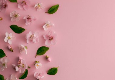 Bahar çiçeklerinden ve pastel pembe arka planda yeşil yapraklardan oluşan yaratıcı desen düzeni. Fotokopi alanı olan düz bir sosyal model.