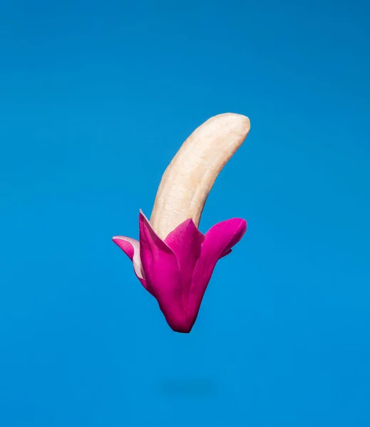 食物创意的组成由一半剥皮香蕉和粉红色木兰花蓝色背景 最小弹簧悬浮概念 — 图库照片