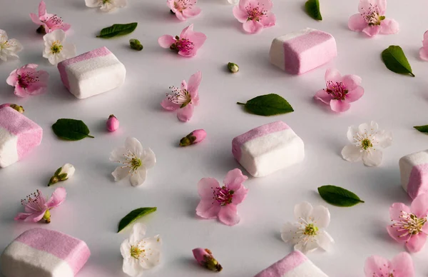 Çeşitli bahar çiçekleri, yapraklar ve marşmelovlardan oluşan yaratıcı desen düzeni. Düztaban doğa arka planı. Asgari bahar arkaplanı.