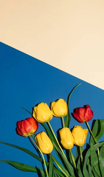 Kırmızı ve sarı lale çiçekleri ve mavi ve kumlu arka planda yapraklarla yapılmış yaratıcı bir düzen. Minimum ilkbahar doğası bileşimi. Boşluk fikrini kopyala.