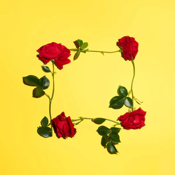 Φυσική Άνοιξη Κόκκινα Τριαντάφυλλα Κίτρινο Φόντο Αγάπη Ημέρα Της Γυναίκας — Φωτογραφία Αρχείου