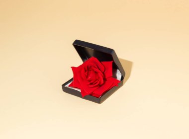 Kırmızı gül çiçeğinin bej arka plandaki nişan yüzüğü kutusunda oluşturduğu yaratıcı minimal konsept. Modern düğün kompozisyonu 2021. 