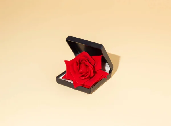 Kırmızı gül çiçeğinin bej arka plandaki nişan yüzüğü kutusunda oluşturduğu yaratıcı minimal konsept. Modern düğün kompozisyonu 2021. 