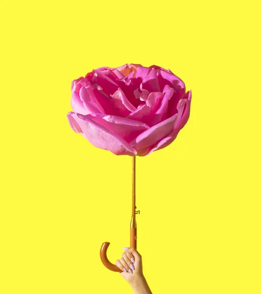 Γυναίκα Κρατώντας Ομπρέλα Από Ροζ Τριαντάφυλλο Φόντο Που Φωτίζει Ελάχιστη — Φωτογραφία Αρχείου