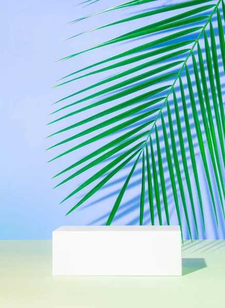 Sunum ve ürün gösterimi için asgari soyut tasarım. Tropikal palmiye yapraklı kozmetik ürünleri için vitrin. Güzellik ya da İş Konsepti İçin Uygun. Yaratıcı yaz fikri.