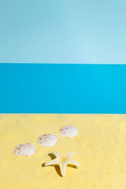 Sahilde deniz kabukları ve deniz yıldızlarıyla geçen yaz sahnesi. Asgari estetik konsept.