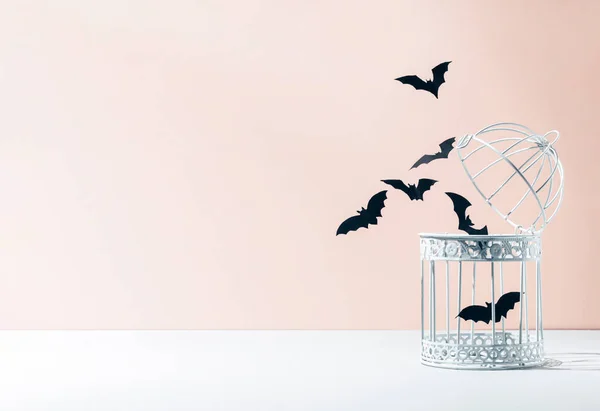 Δημιουργική Minimal Έννοια Λευκό Κλουβί Πουλιών Και Νυχτερίδες Σιλουέτες Παστέλ — Φωτογραφία Αρχείου