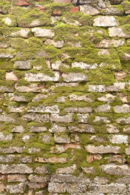 Burano Adası, Venedik tarihli bir duvar detay