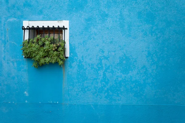 Petite fenêtre d'une maison bleue sur l'île de Burano, Venise — Photo