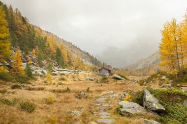 bulutlu bir günde sonbaharda adlı bir dağ vadi yürüyüş