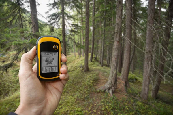 Finding the right position in the forest via gps — Stock Photo, Image