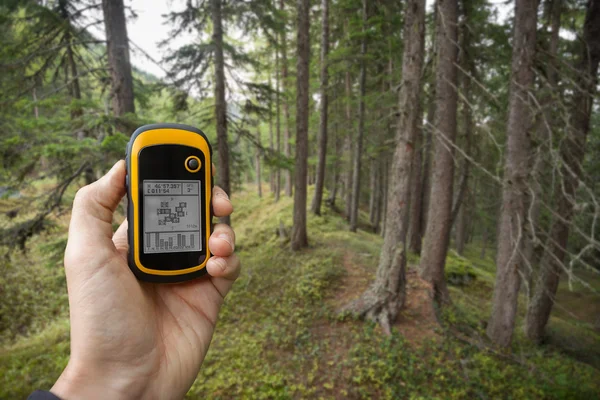 Znalezienie właściwej pozycji w lesie poprzez GPS — Zdjęcie stockowe