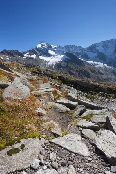 Natuursteen als hart van een hoge pad in Zuid-Tirol — Stockfoto