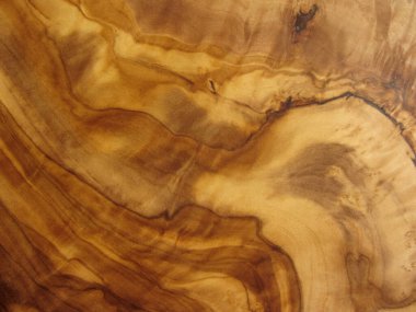 zeytin ağacının dokusu