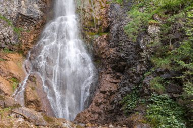 Ormanın içinde küçük bir şelale