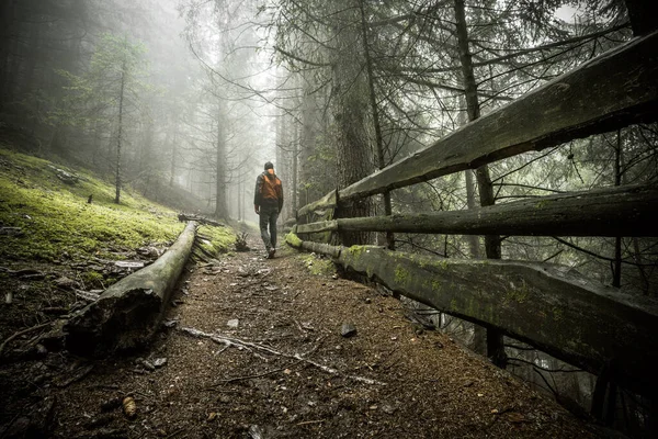 a man walking alone inside a forest in a foggy day