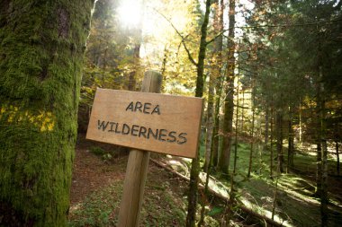 Bir İtalyan ormanının içindeki vahşi bölge.