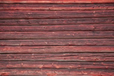 Arka plan olarak doğal çam ağacı panelleri