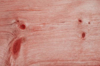 Arka plan olarak doğal çam ağacı panelleri