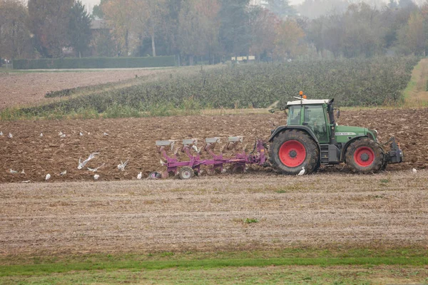 Venezia Itália Novembro 2020 Agricultor Com Seu Trator Arado Terra — Fotografia de Stock