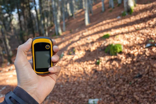 Encontrar Posição Certa Floresta Gps — Fotografia de Stock