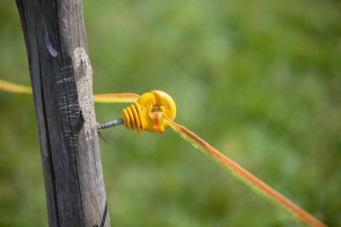 Güney Tirol 'deki bir çayır alanını sınırlamak için elektrikli çit
