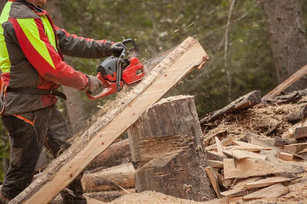 Bûcheron Travaillant Toute Sécurité Avec Une Tronçonneuse Équipement Protection Dans — Photo