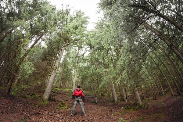 Egy Férfi Egyedül Sétál Erdőben Egy Felhős Napon — Stock Fotó