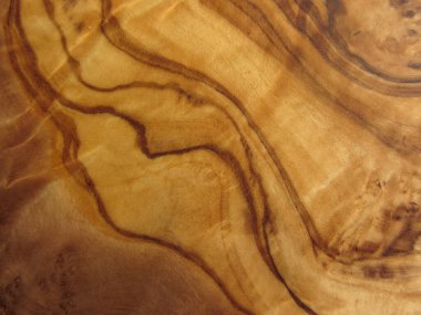 zeytin ağacının dokusu