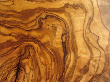 zeytin ağacının dokusu