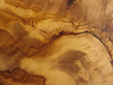 zeytin ağacının dokusu