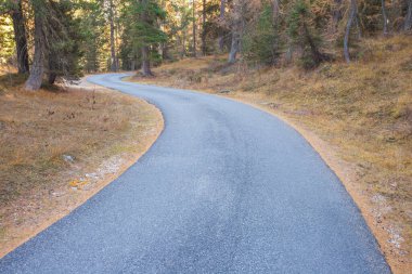 Sonbaharda orman boyunca uzanan ikinci bir yol.