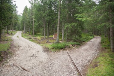 Tek bir dağ yolu iki farklı yöne ayrılıyor..