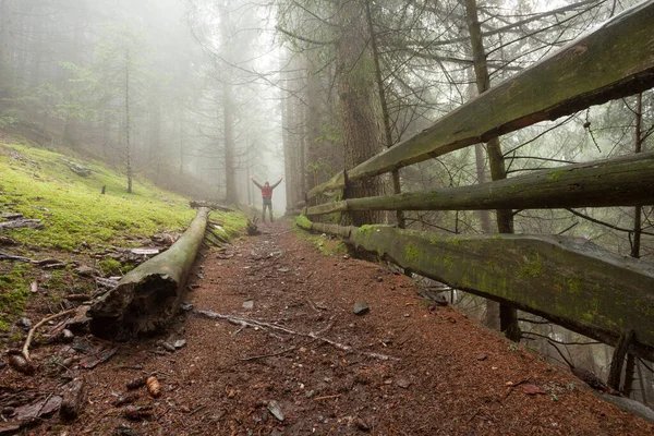 Мужчина Шел Один Лесу Туманный День — стоковое фото