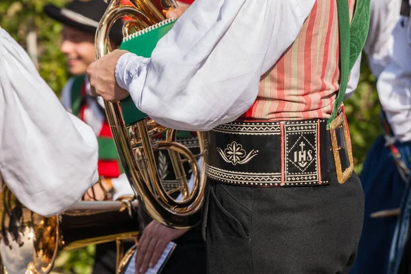 Naz Sciaves Italien Oktober 2019 Musiker Typisk Dräkt Lokal Höstfest — Stockfoto