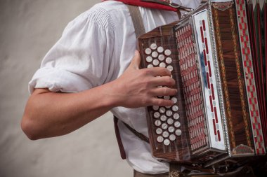 Val Isarco 'da (Güney Tirol) sonbahar yerel kutlamaları sırasında tipik kostümlü müzisyen )