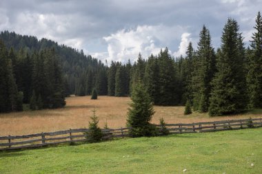 Dolomites 'teki Val Gardena bölgesinden (İtalya) panorama)