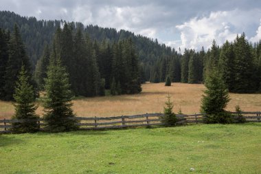Dolomites 'teki Val Gardena bölgesinden (İtalya) panorama)