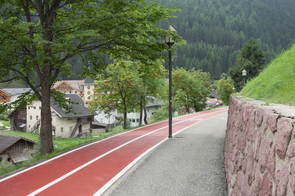 red city bike fast lane