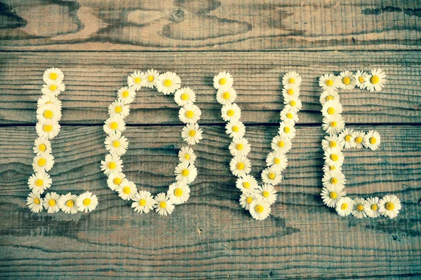 Liefde schreef met madeliefjes op houten achtergrond — Stockfoto