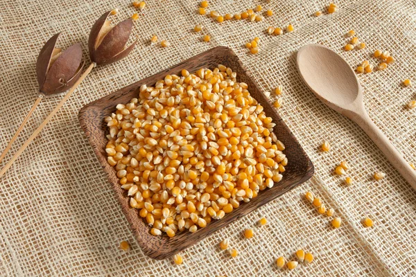 Corn as natural ingredient in country atmosphere — Stock Photo, Image